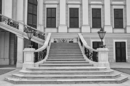 Vienna (19)