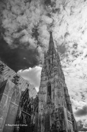 Vienna (2)