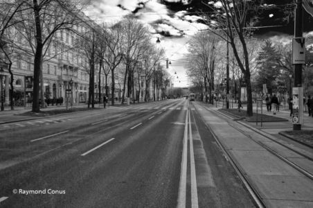 Vienna (5)