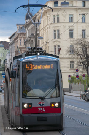 Vienna (8)