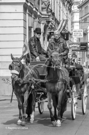 Vienna SP (1)