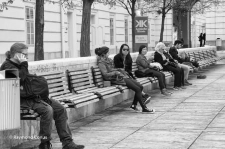 Vienna SP (22)