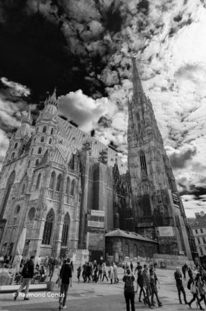 Vienna SP (3)