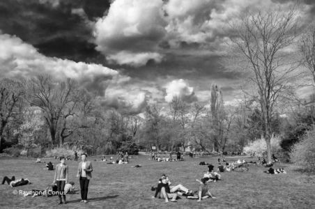Vienna SP (6)
