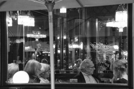 Vienna SP (8)