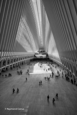 WTC Train Station (12)