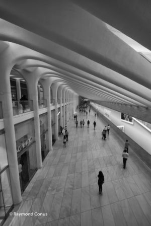 WTC Train Station (1)