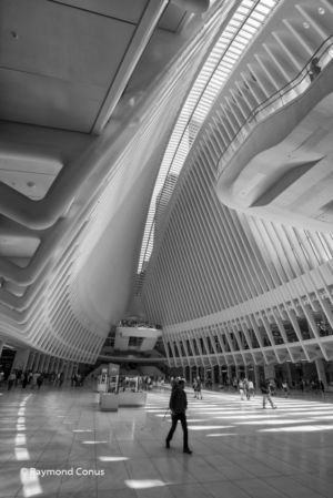 WTC Train Station (6)