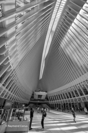 WTC Train Station (7)